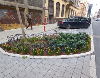 Budapest VI. kerület, Csengery utca két szakaszának (hrsz: 28771; 28772) fásításához és megújításához szükséges tervdokumentációk